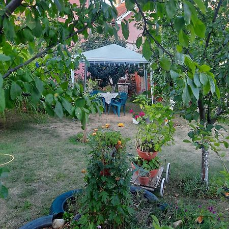 Apartman Drina Berilovac Exterior photo