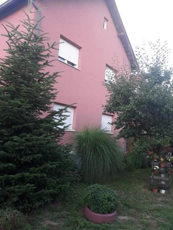Apartman Drina Berilovac Exterior photo